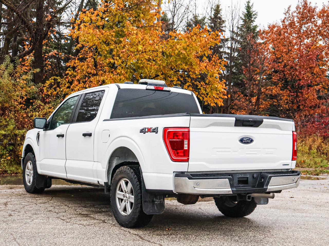 2021 Ford F-150 XLT Photo