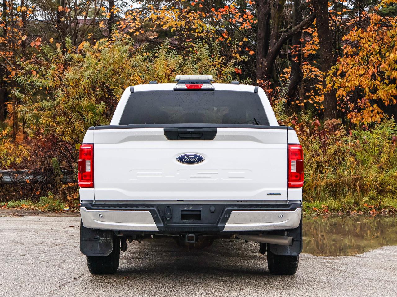 2021 Ford F-150 XLT Photo