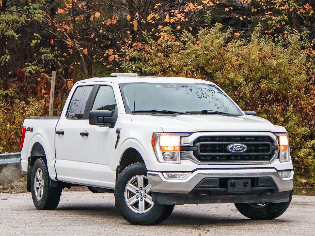 2021 Ford F-150 XLT Photo