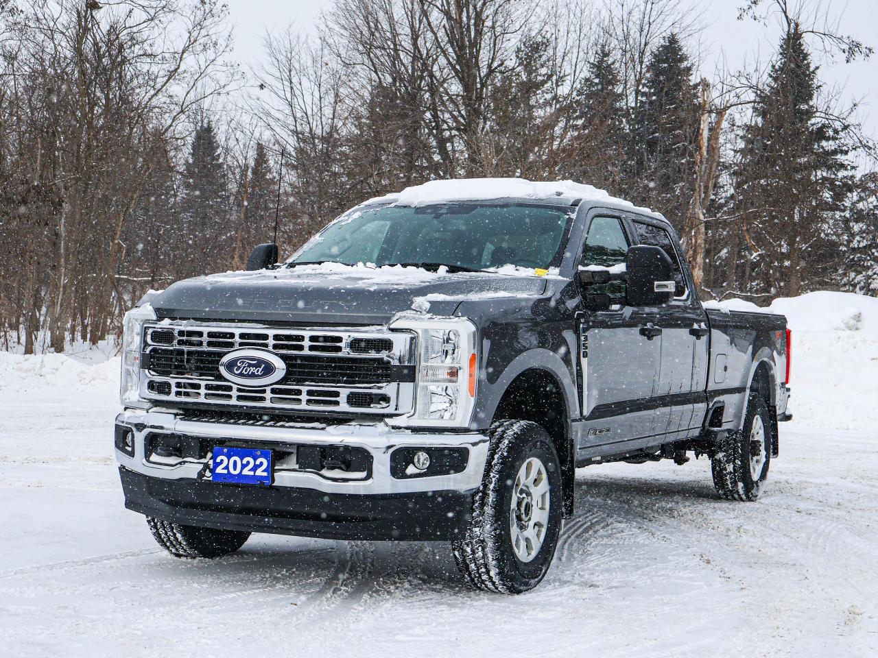 2023 Ford SUPER DUTY F-350 SRW XLT Photo
