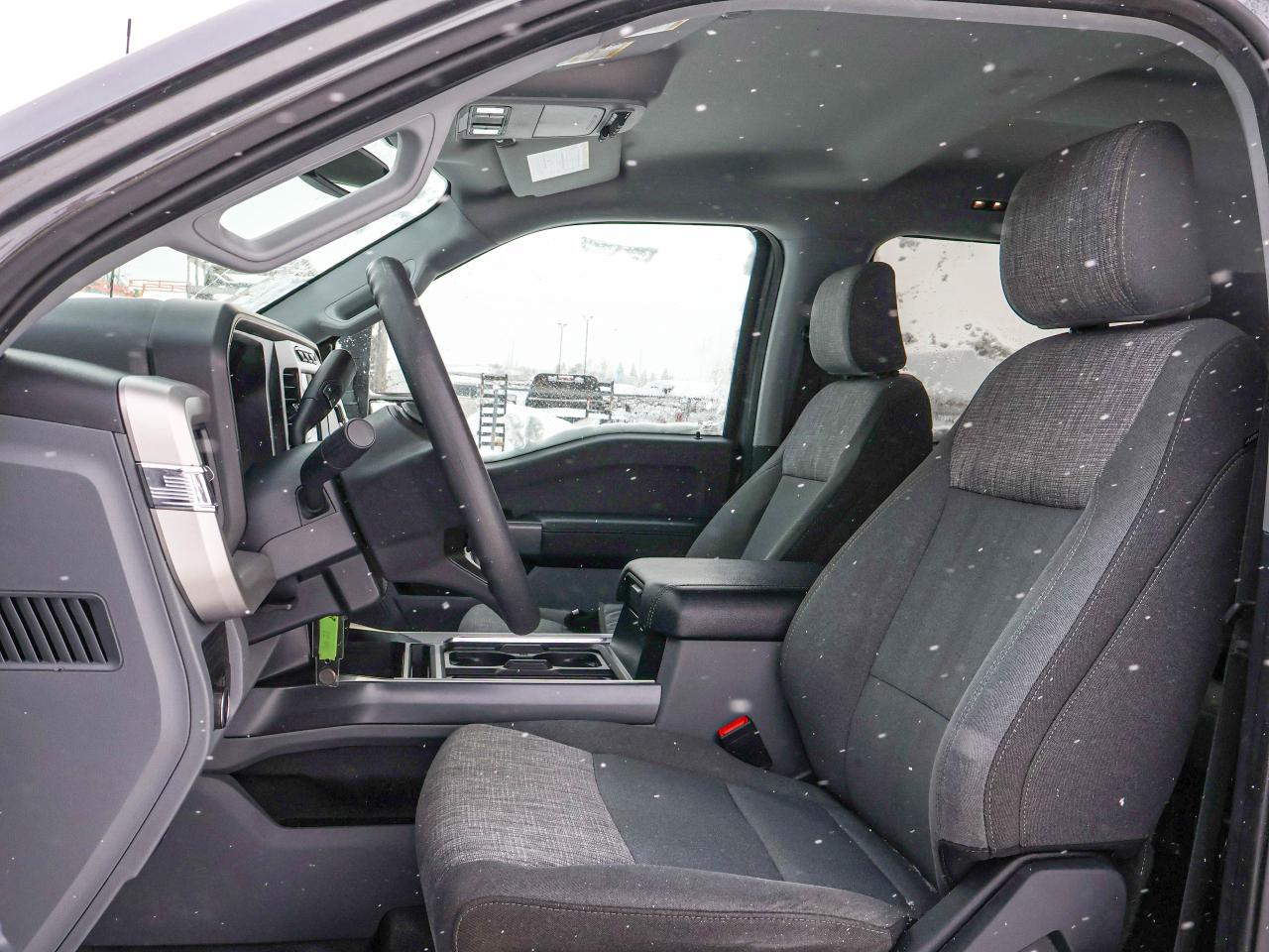 2023 Ford SUPER DUTY F-350 SRW XLT Photo