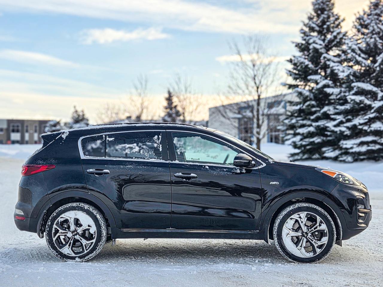 2022 Kia Sportage SX Photo