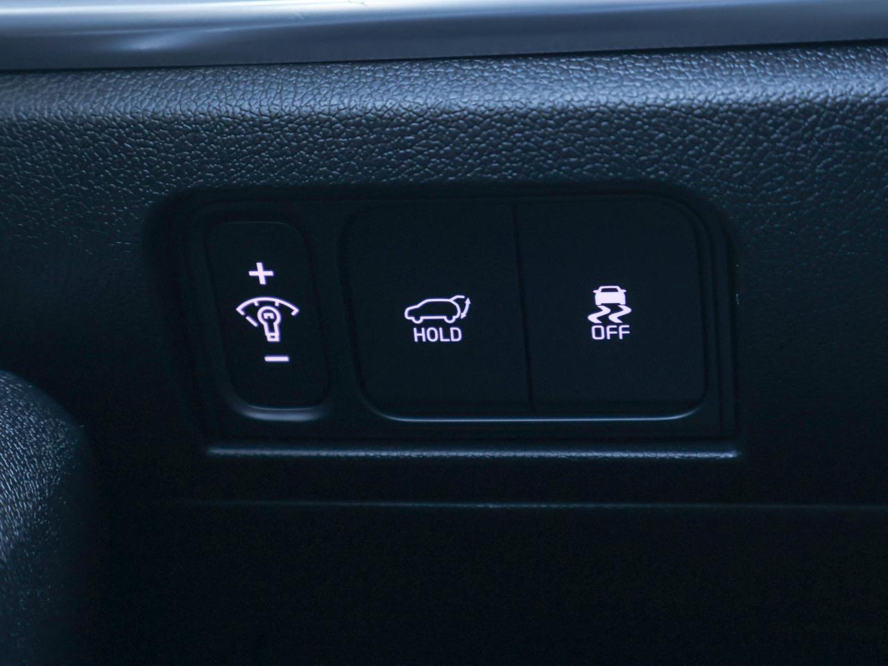 2024 Kia Sorento EX Photo