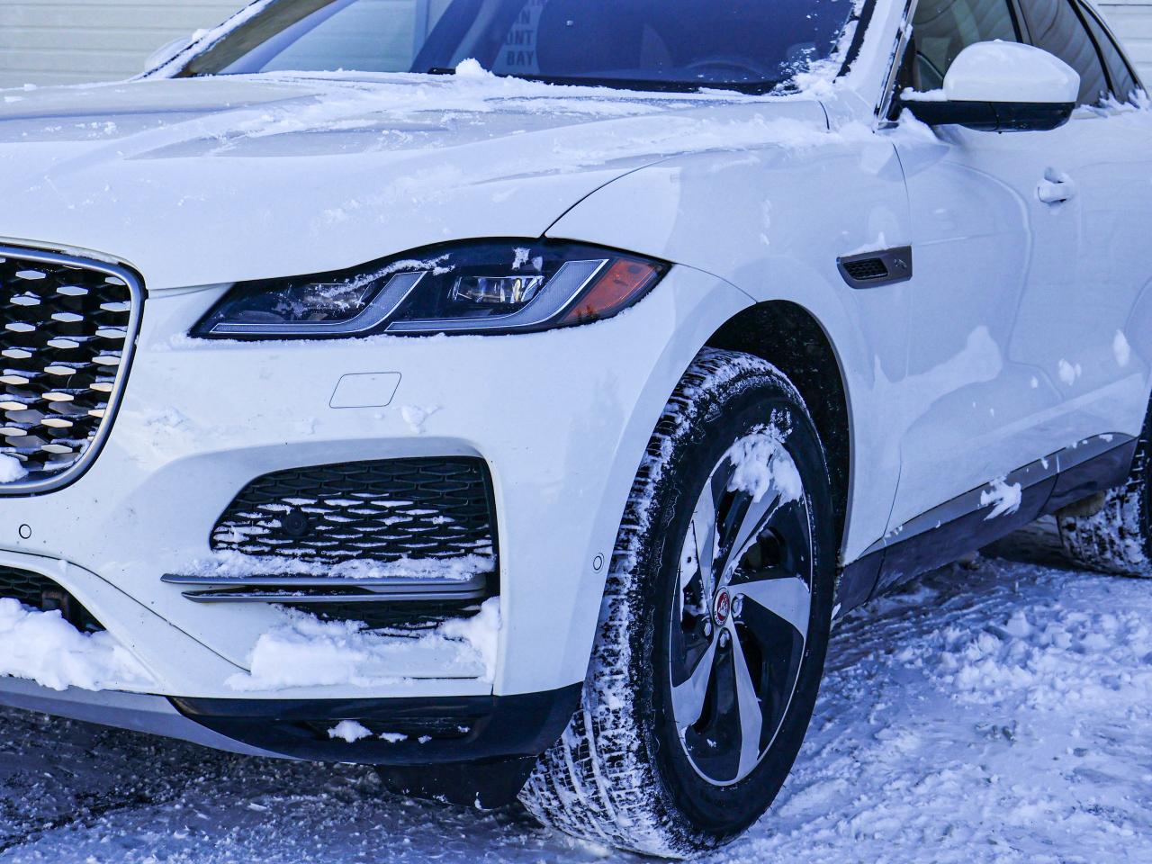 2021 Jaguar F-PACE P250 S Photo