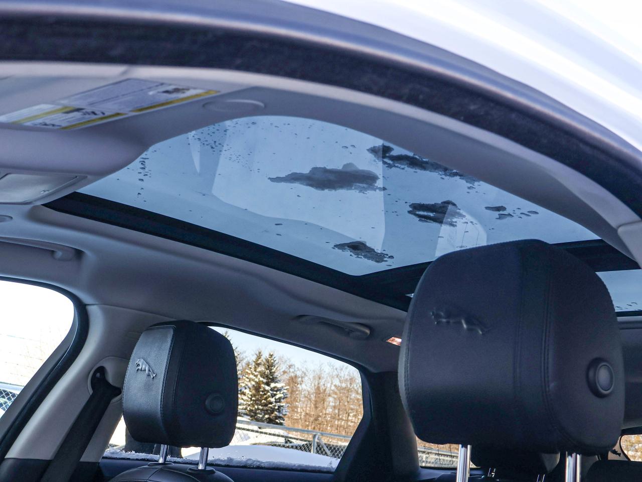 2021 Jaguar F-PACE P250 S Photo