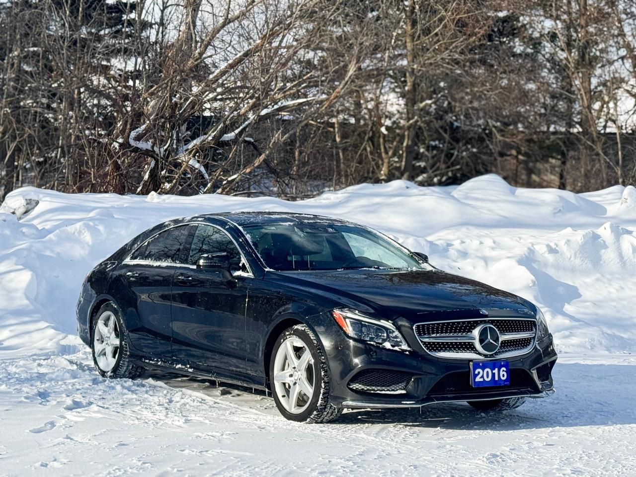 2016 Mercedes-Benz CLS 550 Photo