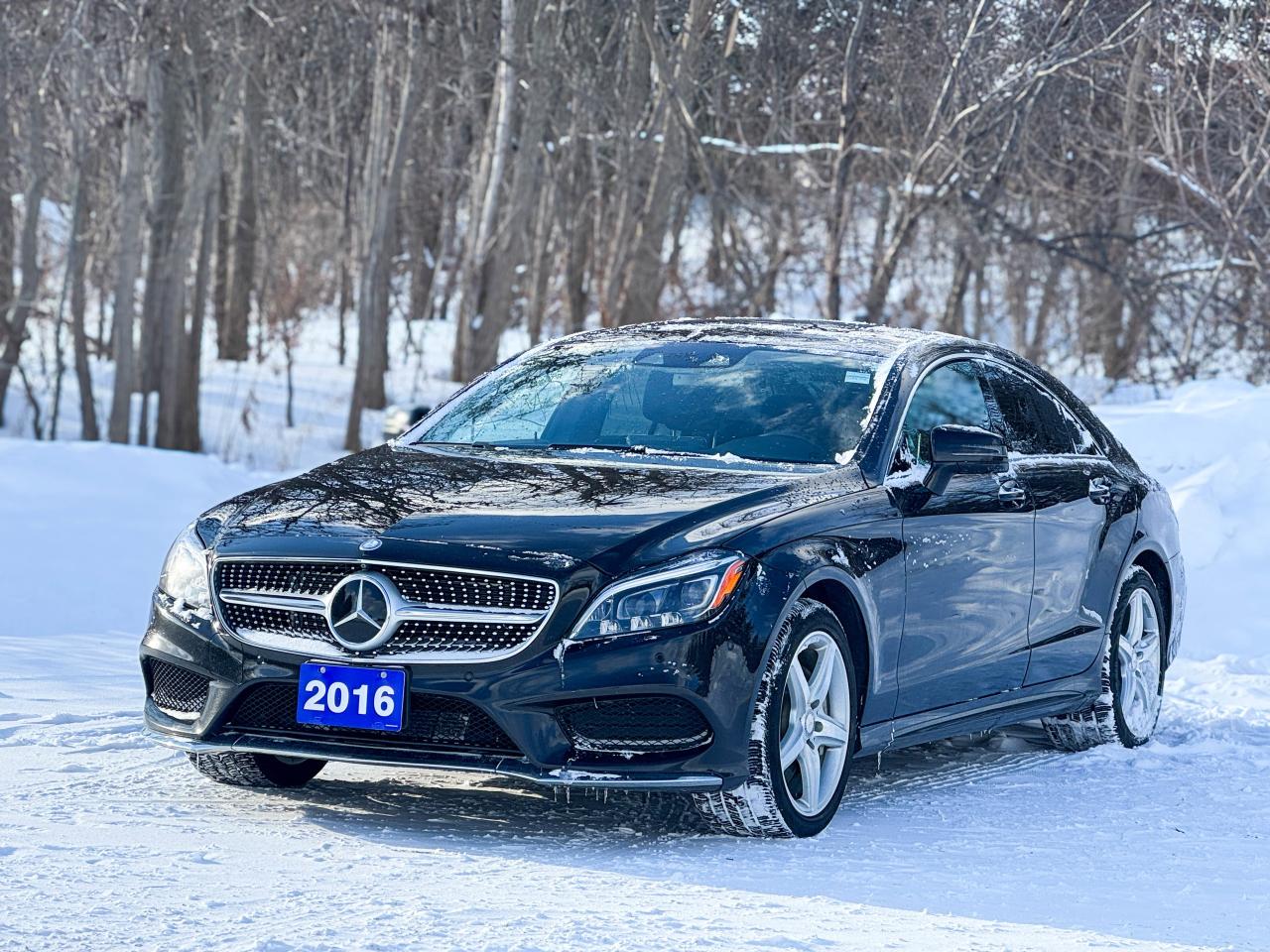 2016 Mercedes-Benz CLS 550 Photo