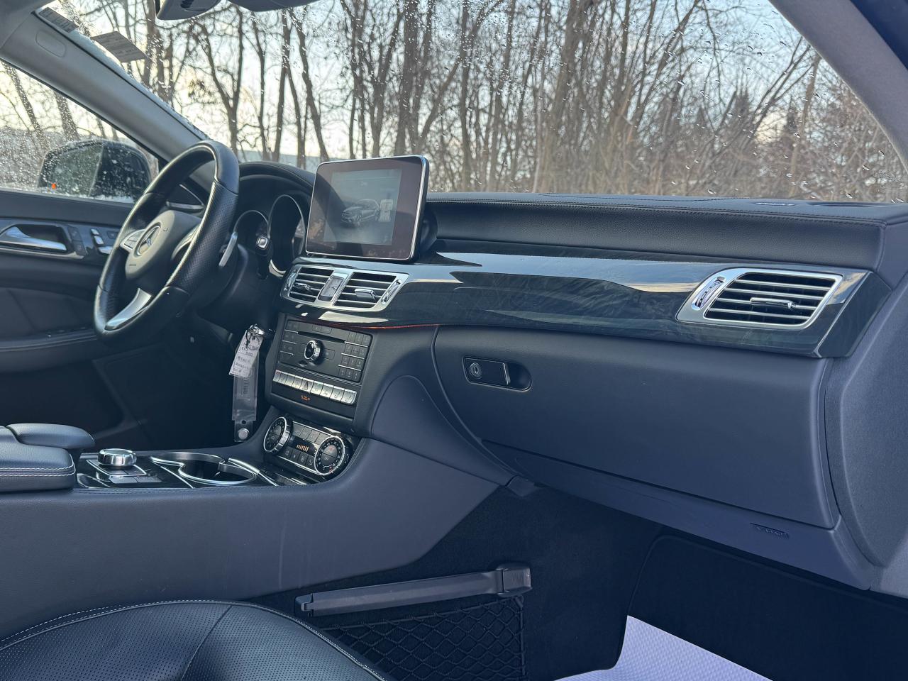 2016 Mercedes-Benz CLS 550 Photo