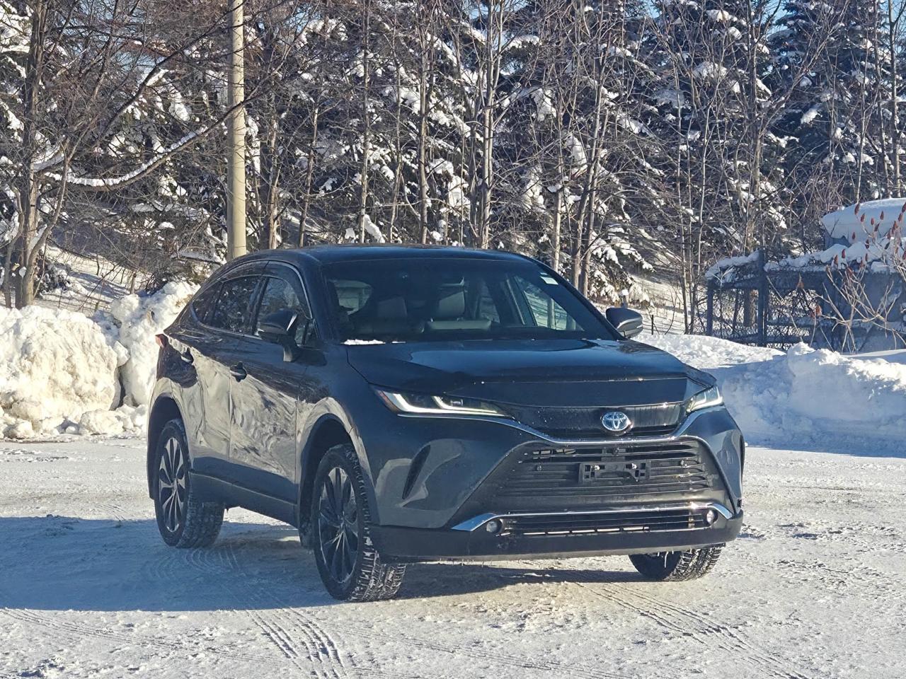 2023 Toyota Venza LIMITED Photo2