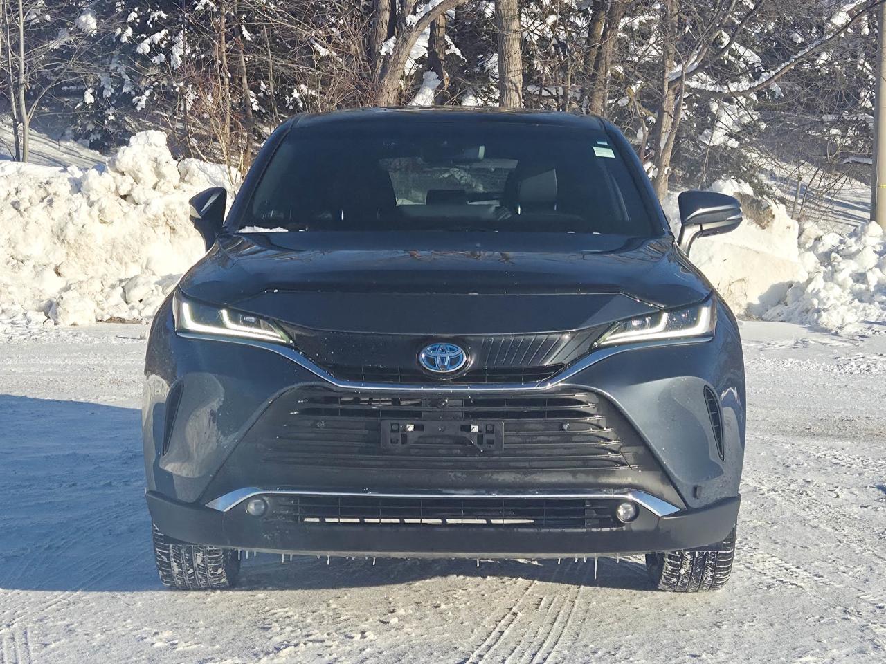 2023 Toyota Venza LIMITED Photo4