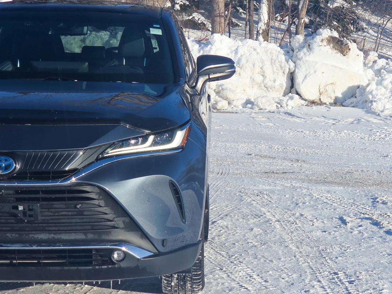 2023 Toyota Venza LIMITED Photo