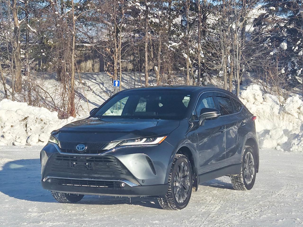 2023 Toyota Venza LIMITED Photo