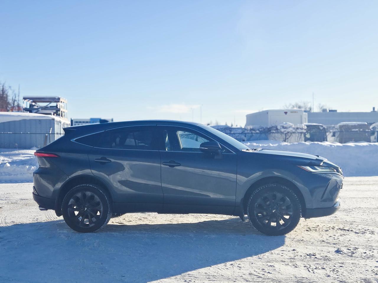 2023 Toyota Venza LIMITED Photo