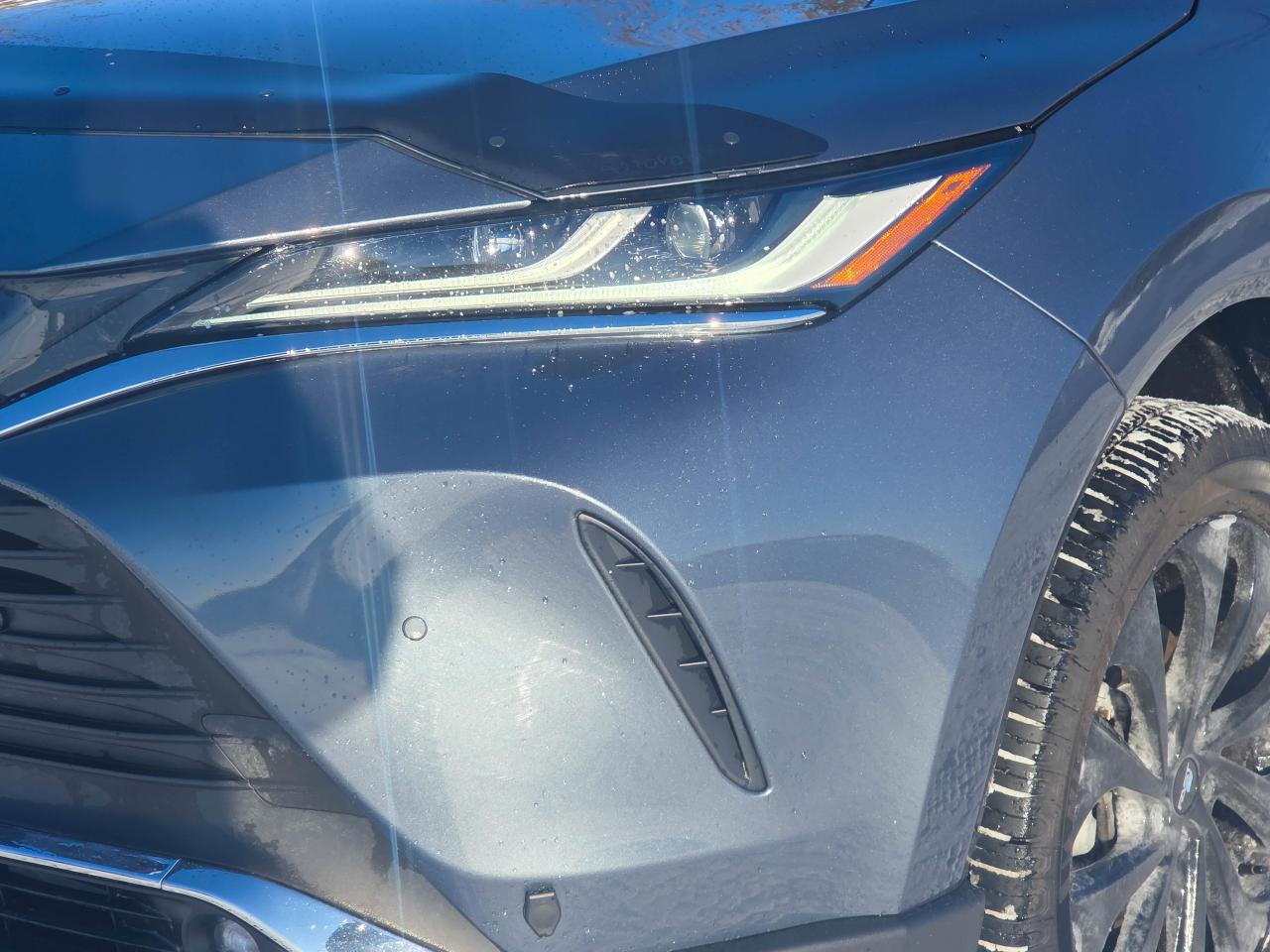 2023 Toyota Venza LIMITED Photo