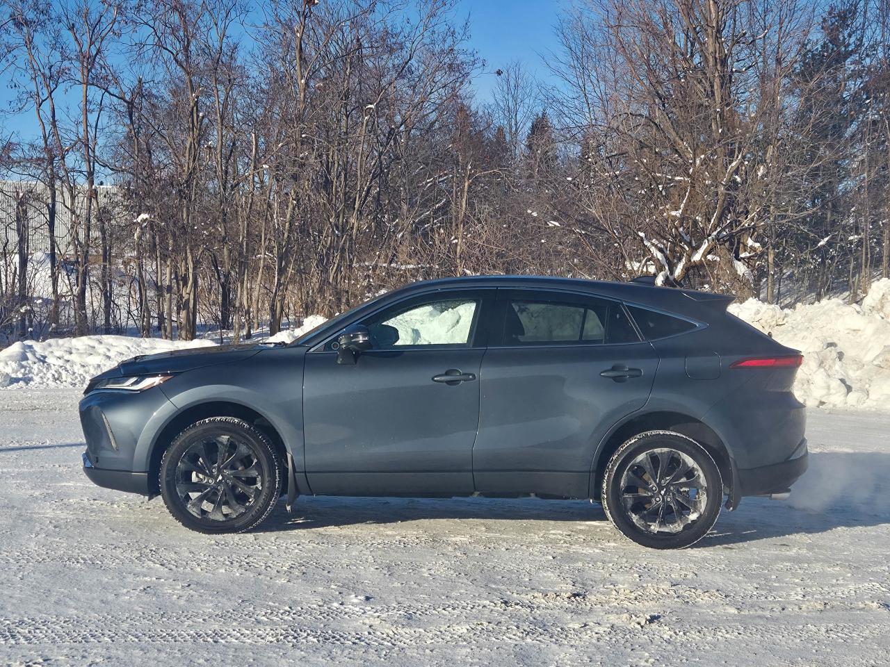 2023 Toyota Venza LIMITED Photo