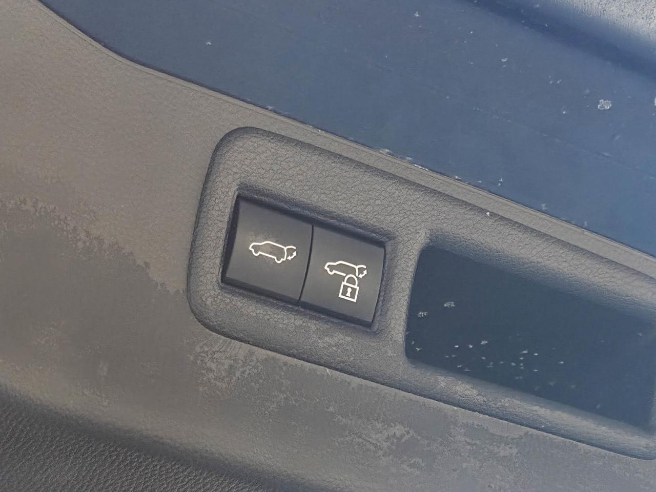 2023 Toyota Venza LIMITED Photo