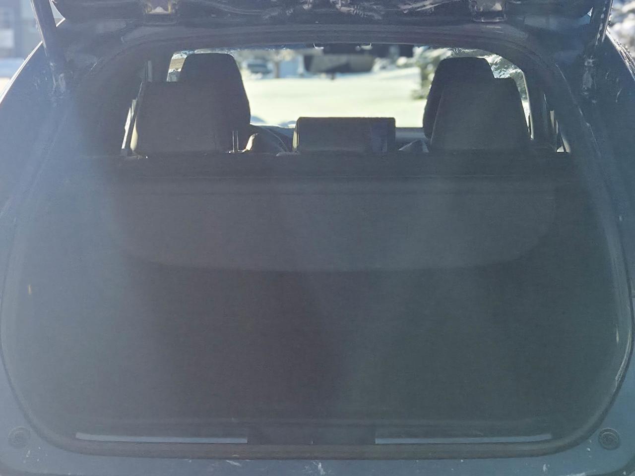 2023 Toyota Venza LIMITED Photo