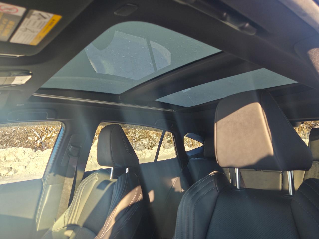 2023 Toyota Venza LIMITED Photo