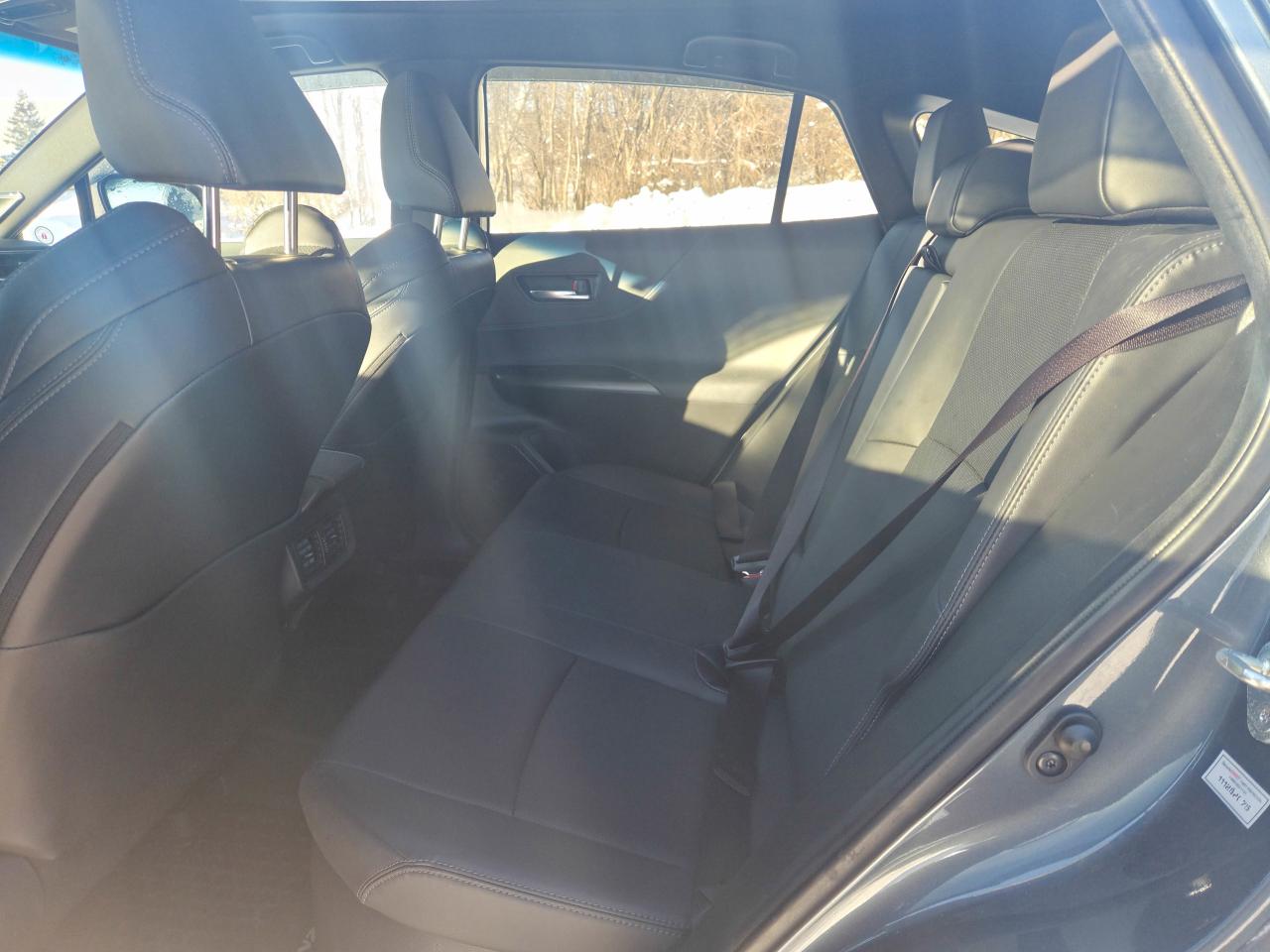 2023 Toyota Venza LIMITED Photo