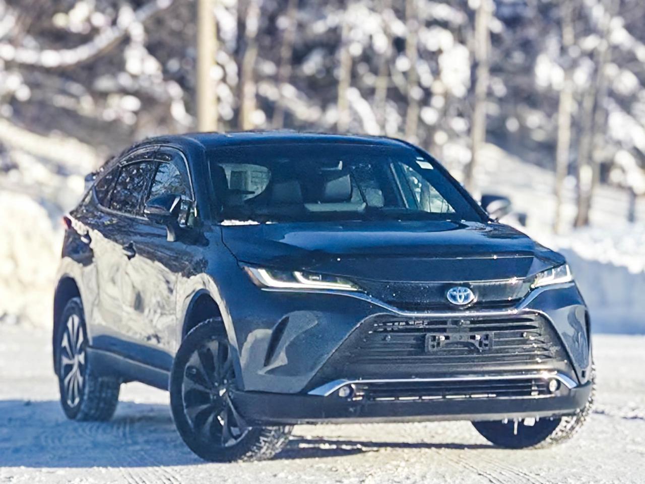 2023 Toyota Venza LIMITED Photo