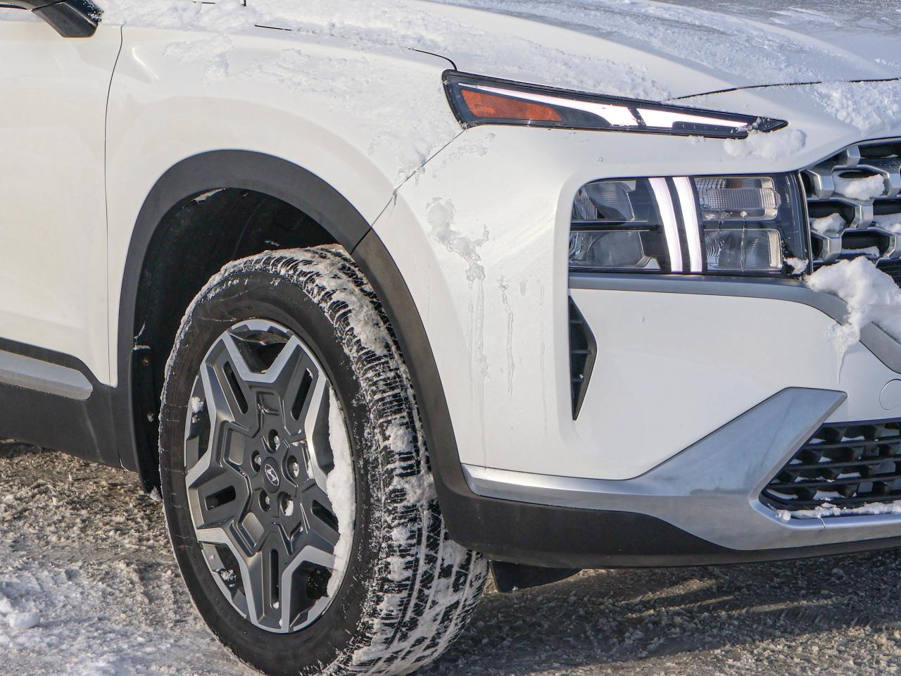 2023 Hyundai Santa Fe Plug-In Hybrid Luxury Photo