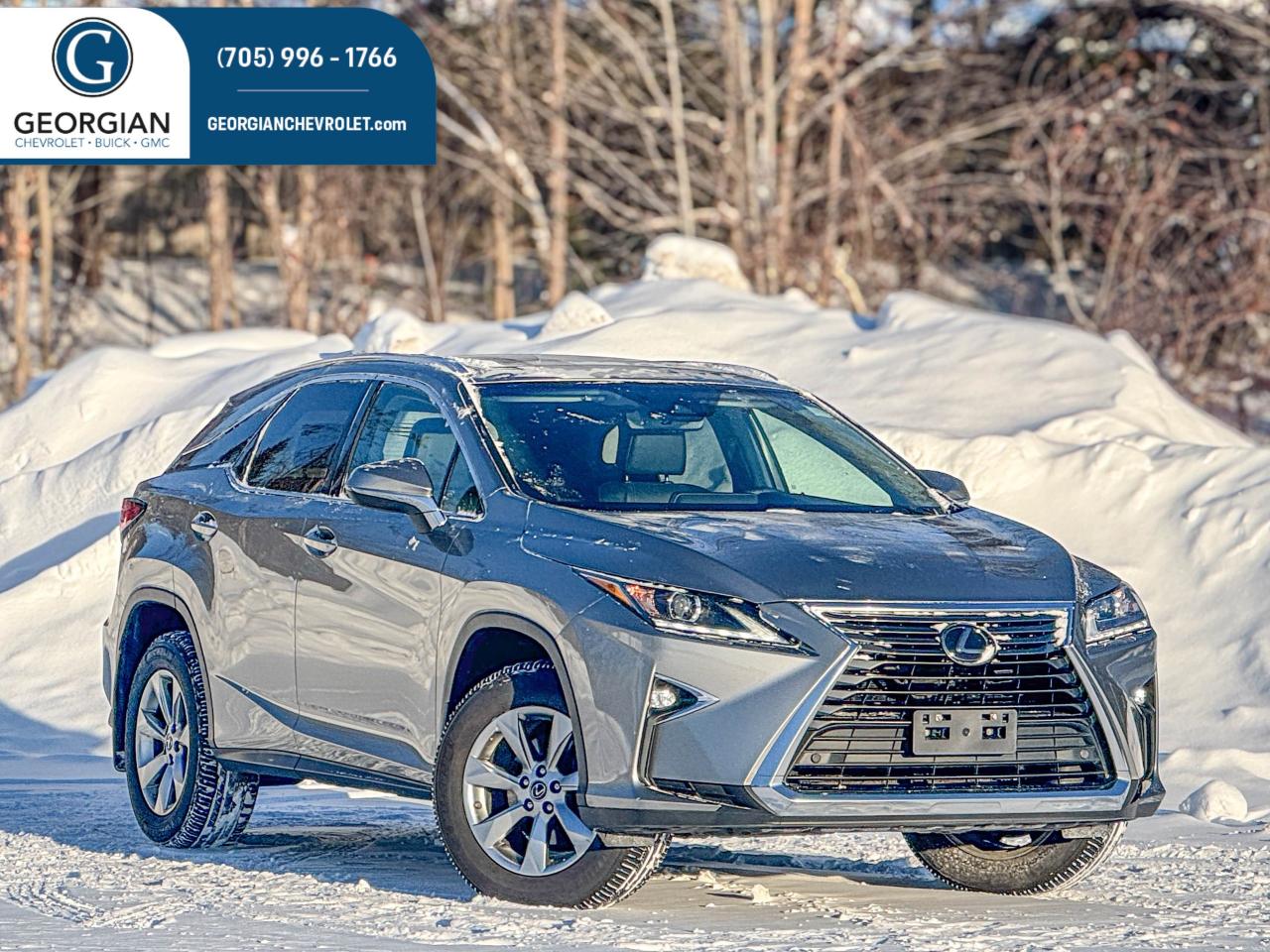 2019 Lexus RX 350 Photo0