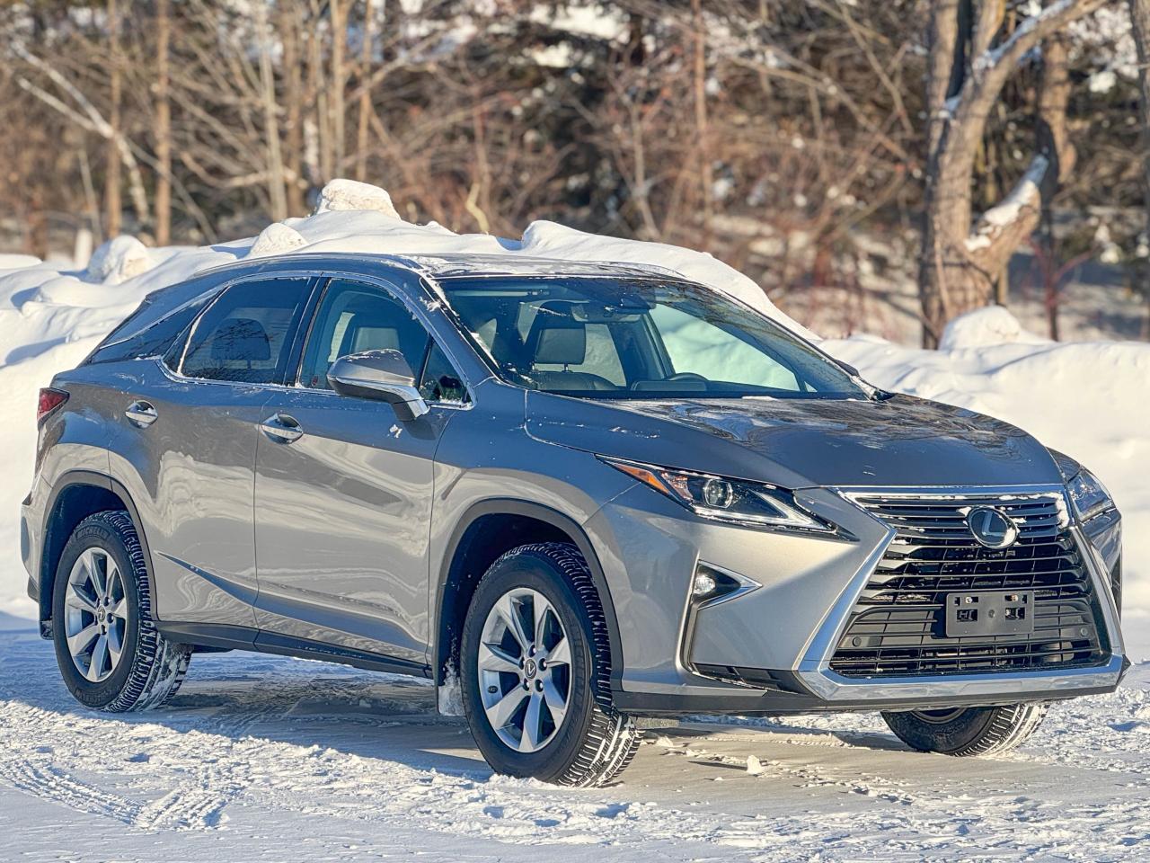 2019 Lexus RX 350 Photo