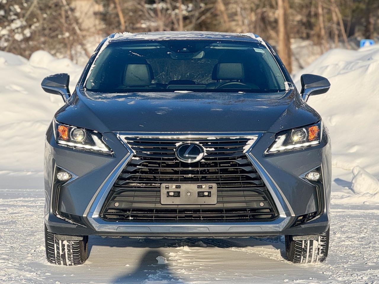 2019 Lexus RX 350 Photo
