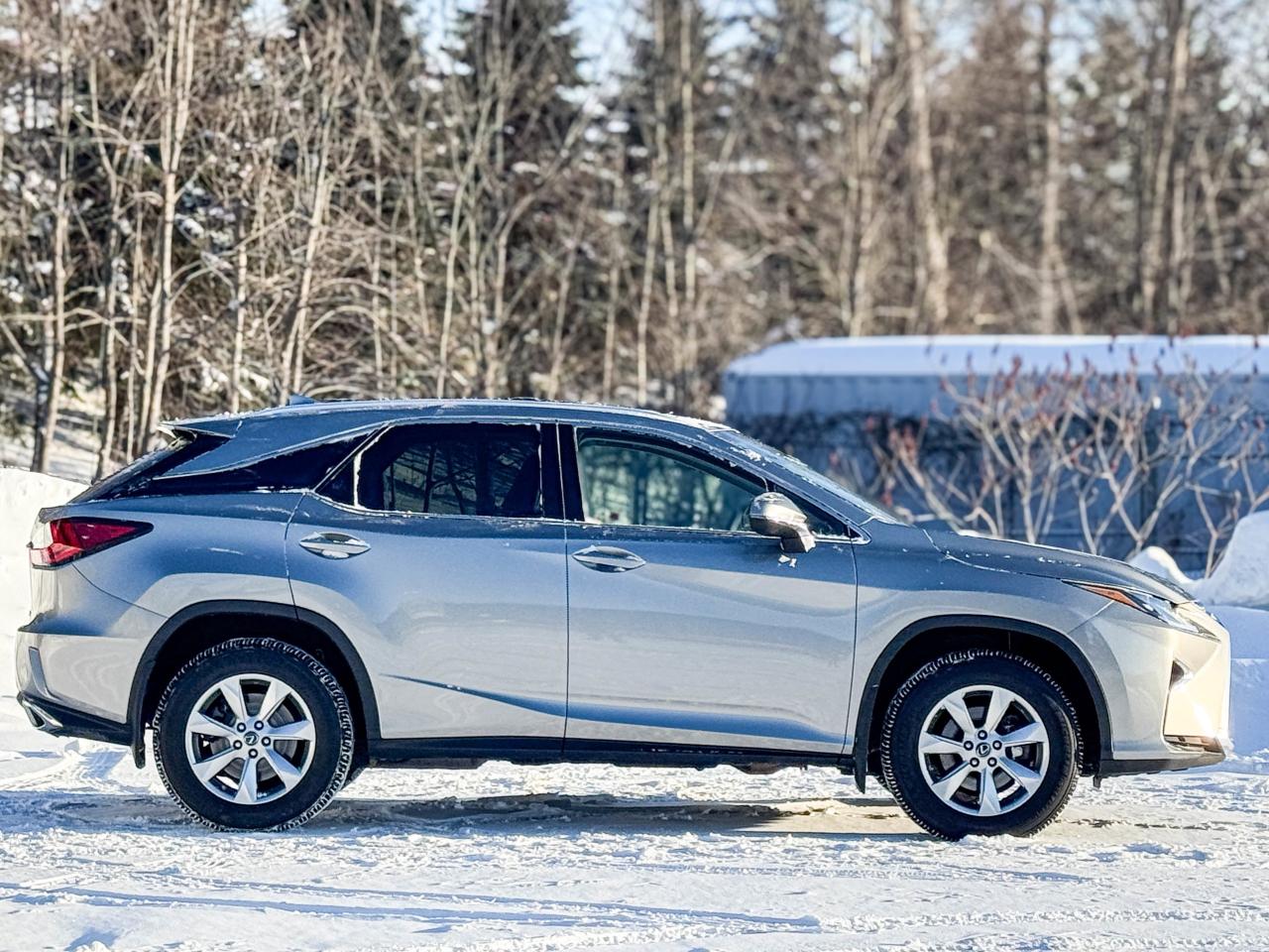 2019 Lexus RX 350 Photo