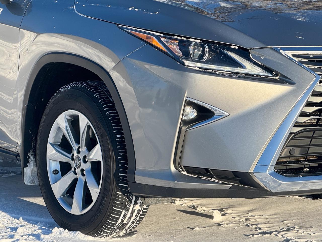 2019 Lexus RX 350 Photo