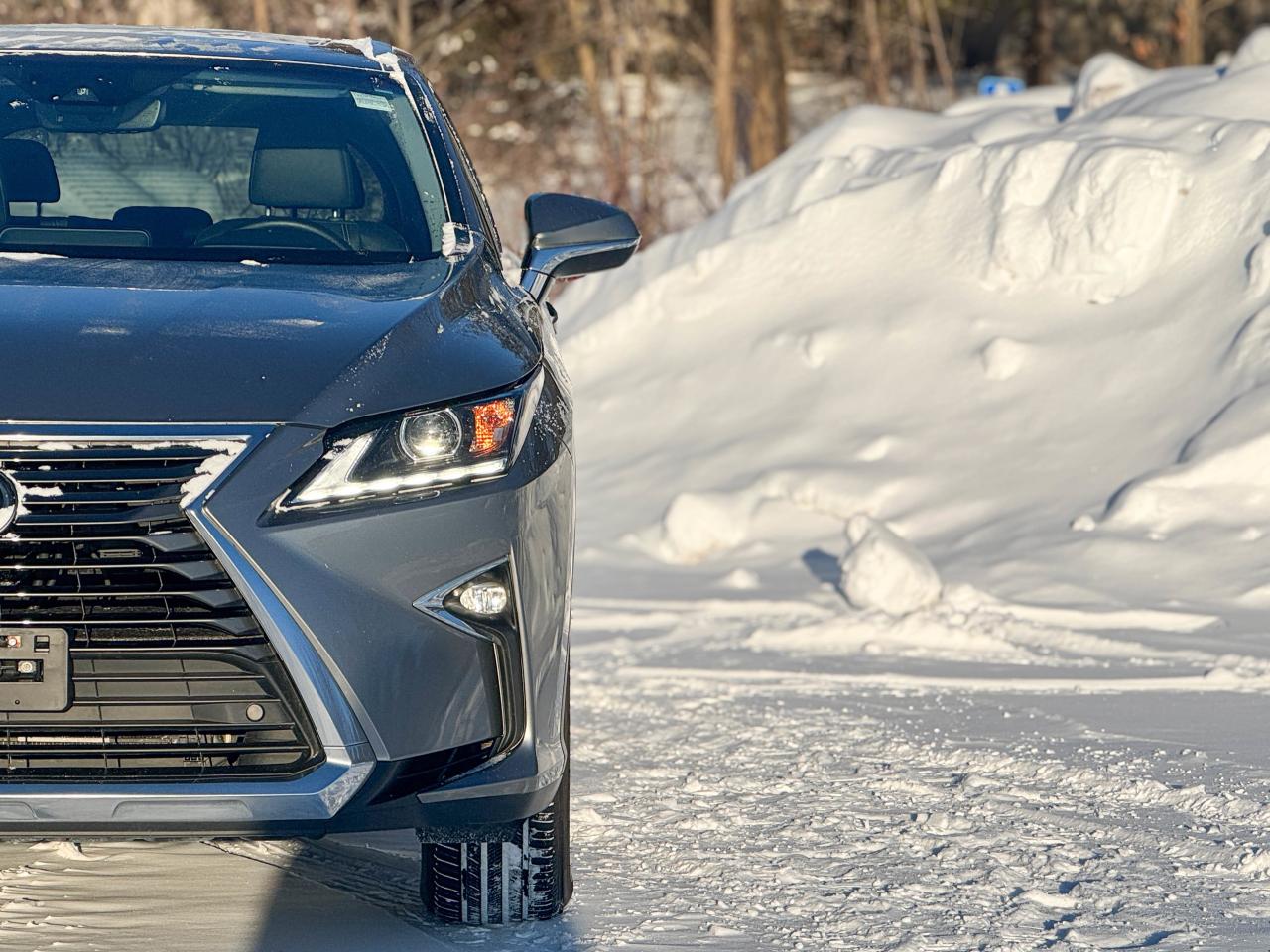 2019 Lexus RX 350 Photo