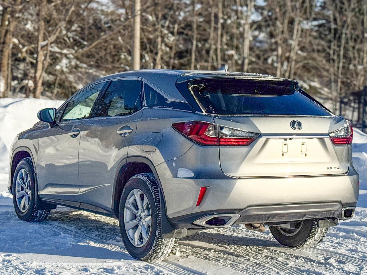 2019 Lexus RX 350 Photo