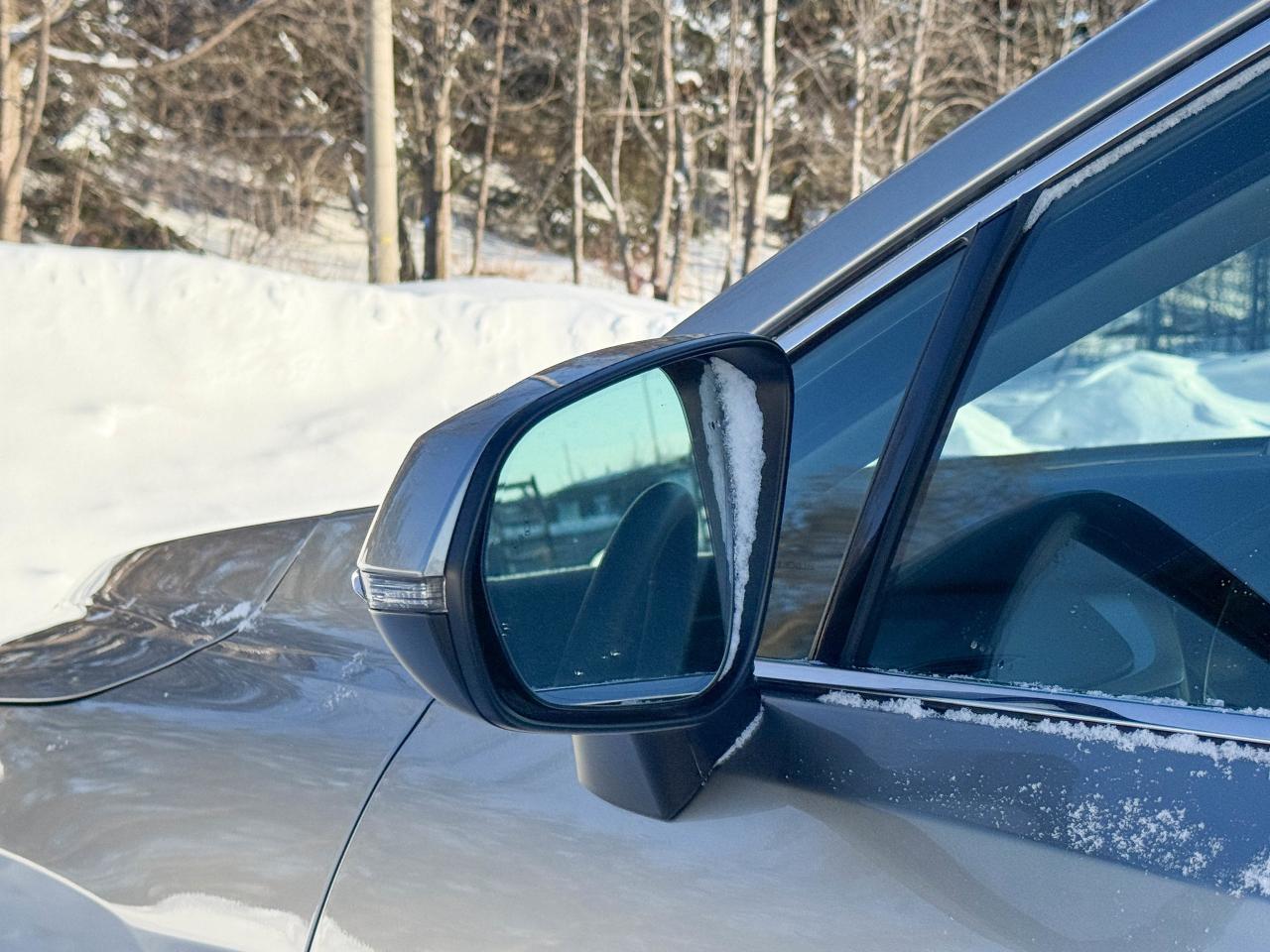 2019 Lexus RX 350 Photo