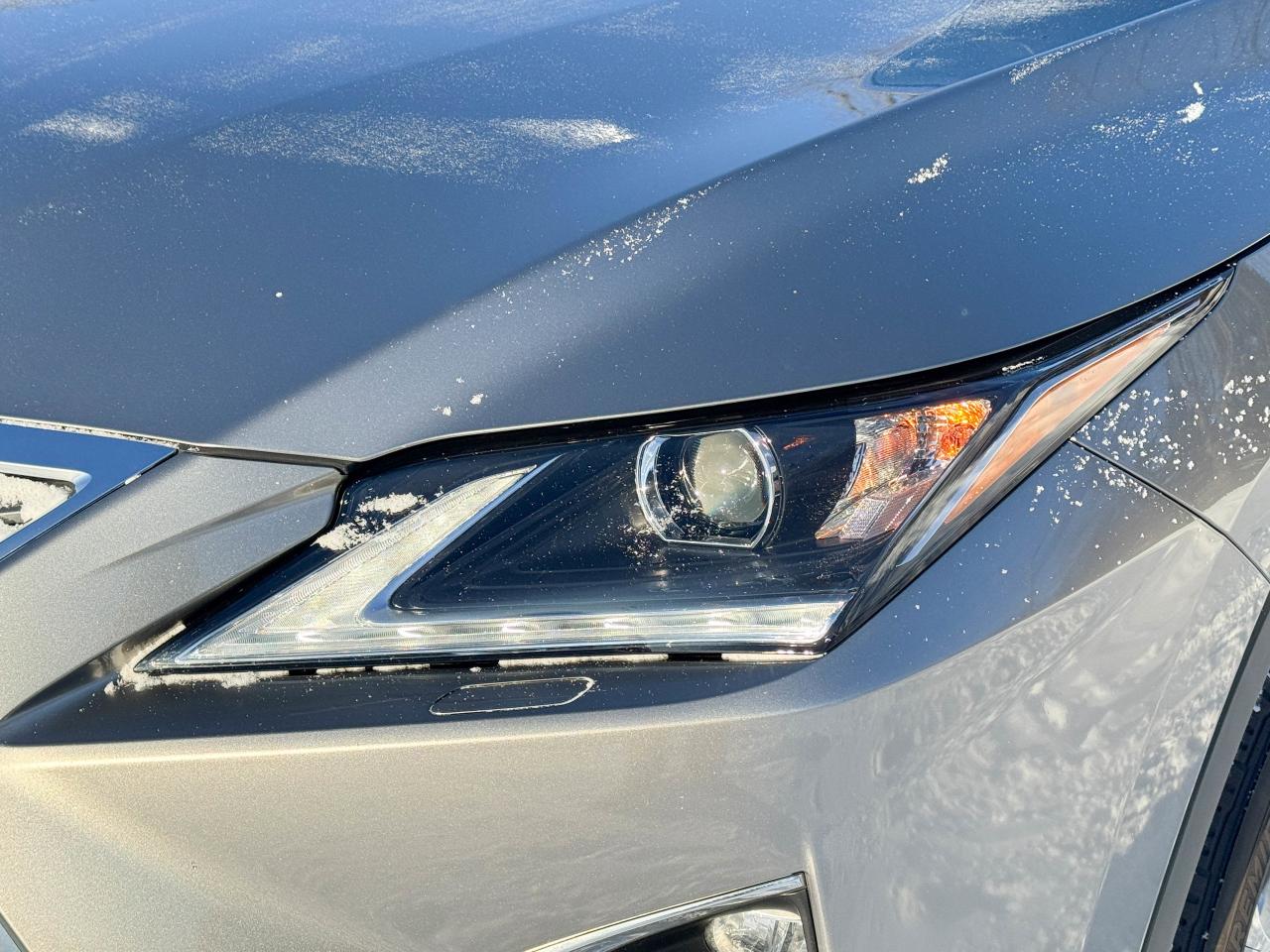 2019 Lexus RX 350 Photo