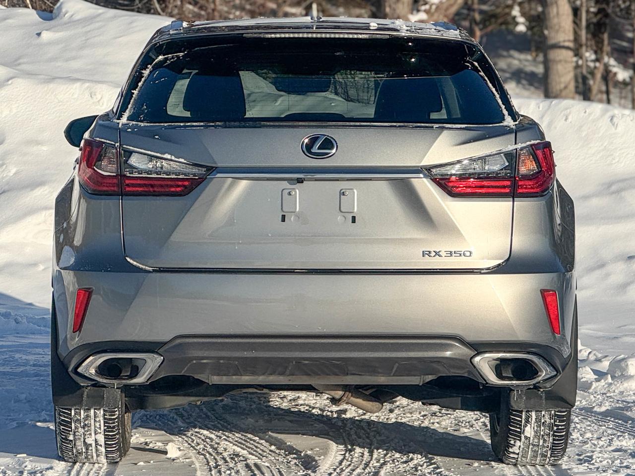 2019 Lexus RX 350 Photo