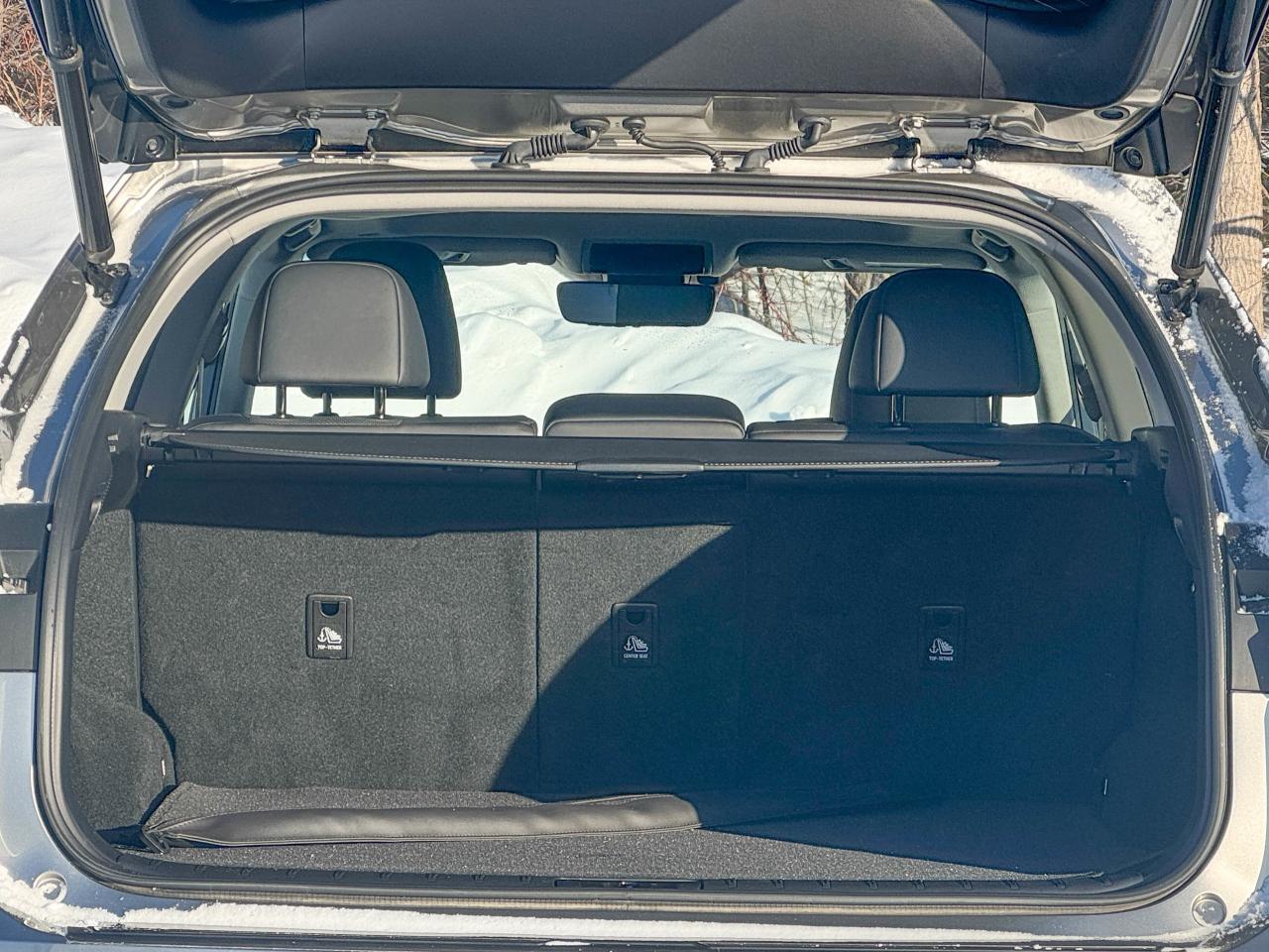 2019 Lexus RX 350 Photo