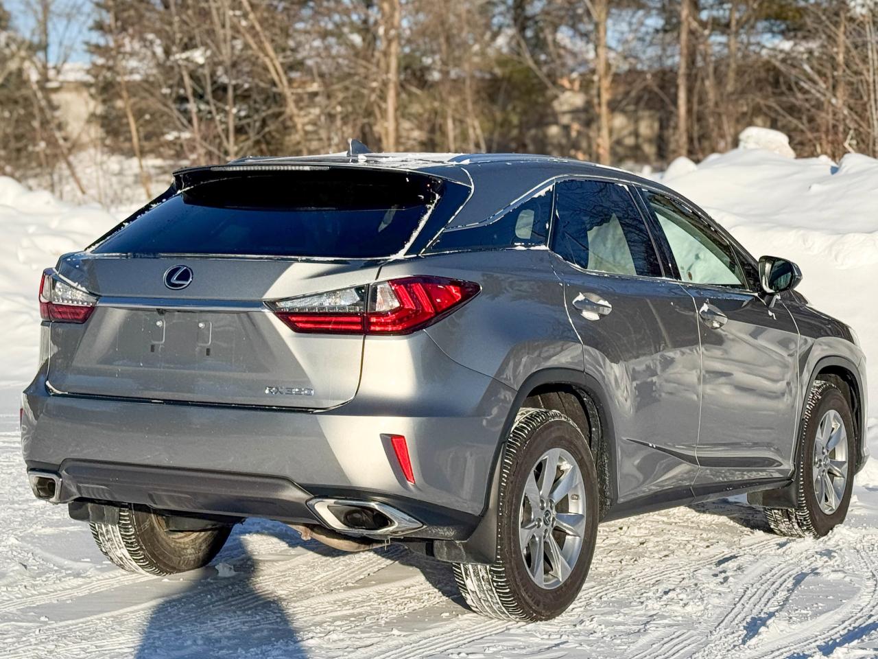 2019 Lexus RX 350 Photo