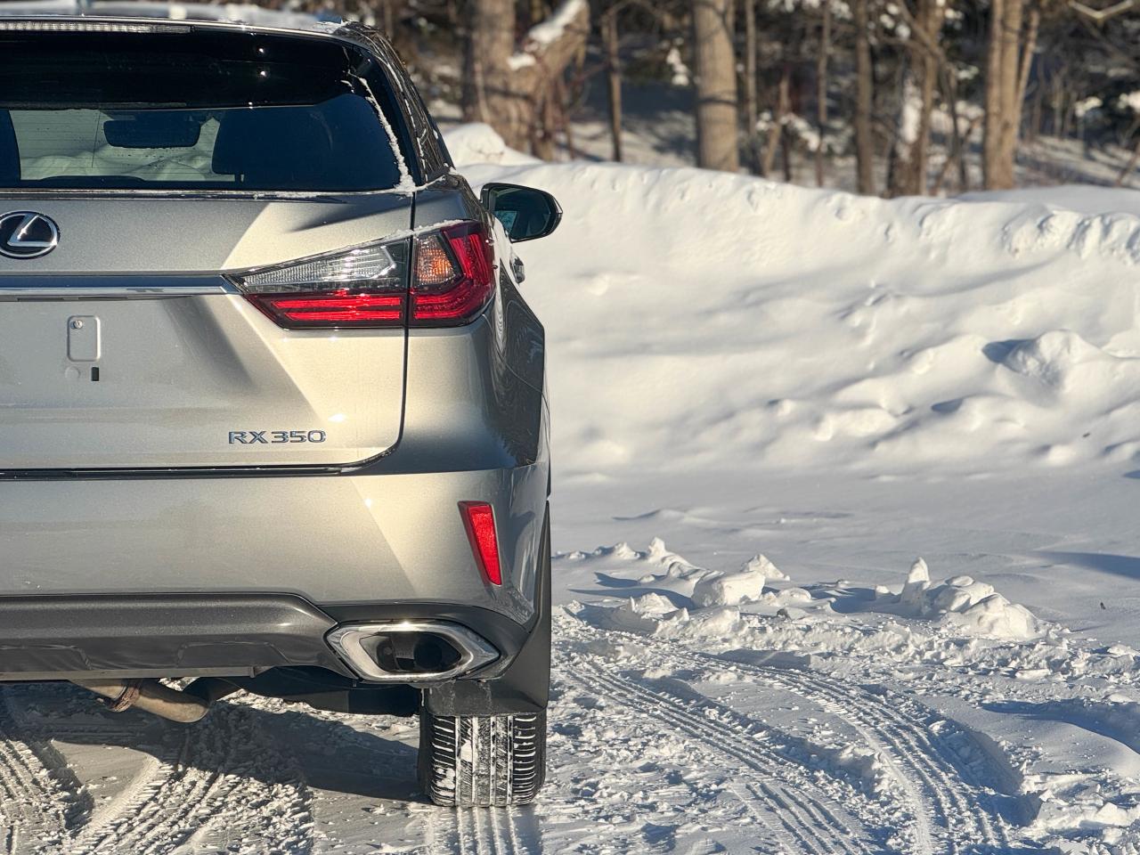 2019 Lexus RX 350 Photo