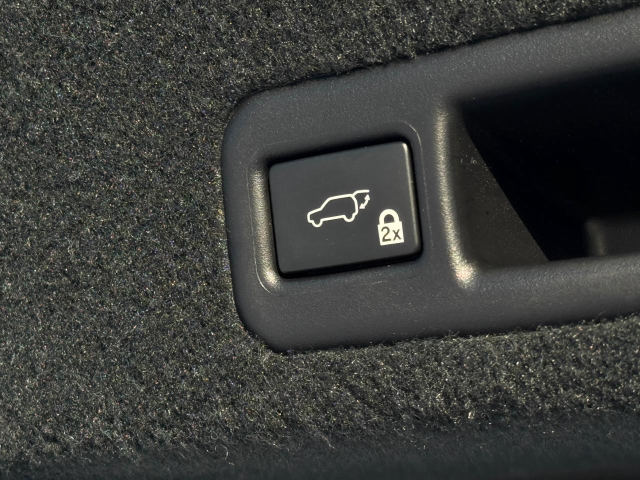 2019 Lexus RX 350 Photo