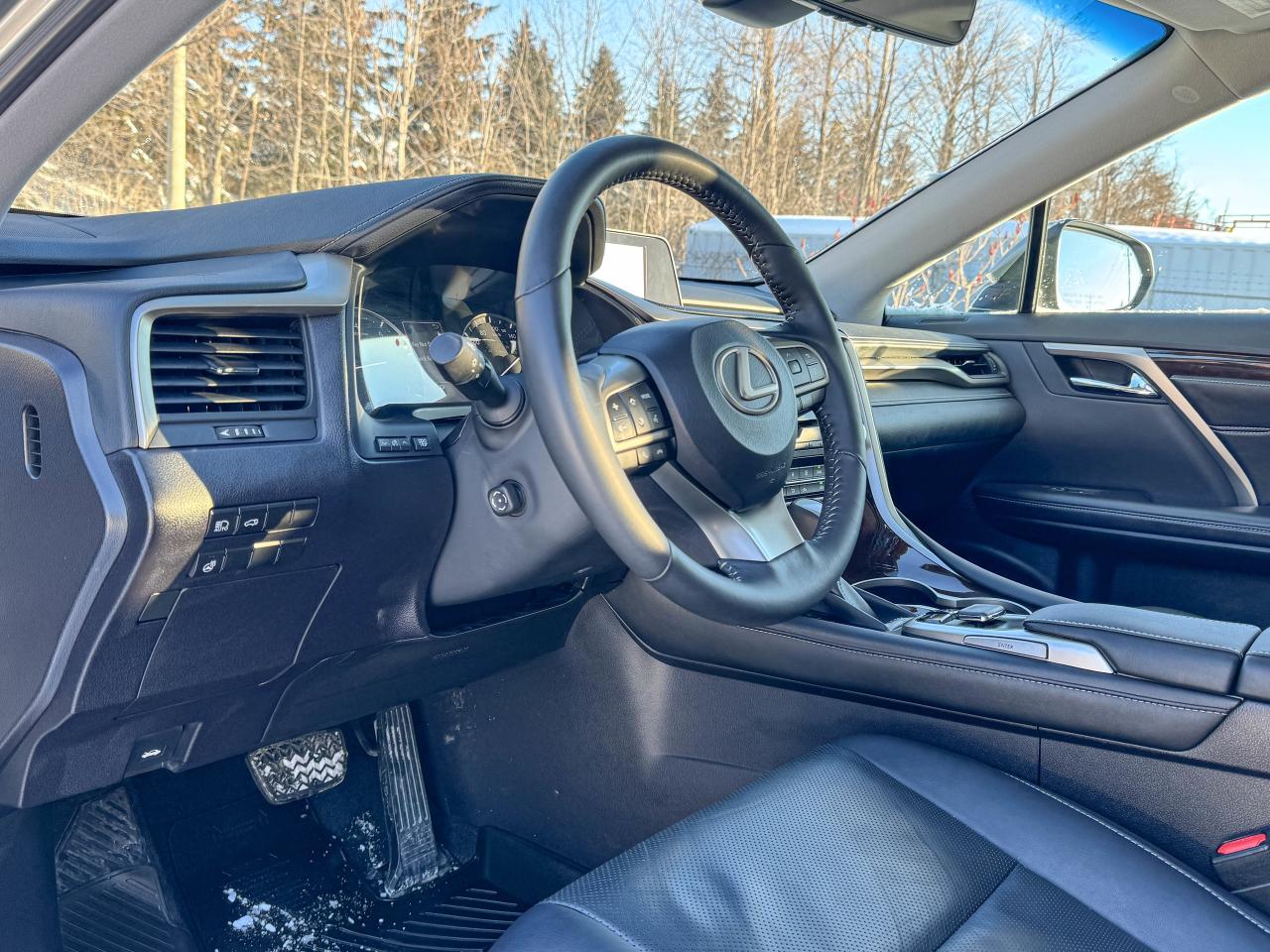 2019 Lexus RX 350 Photo