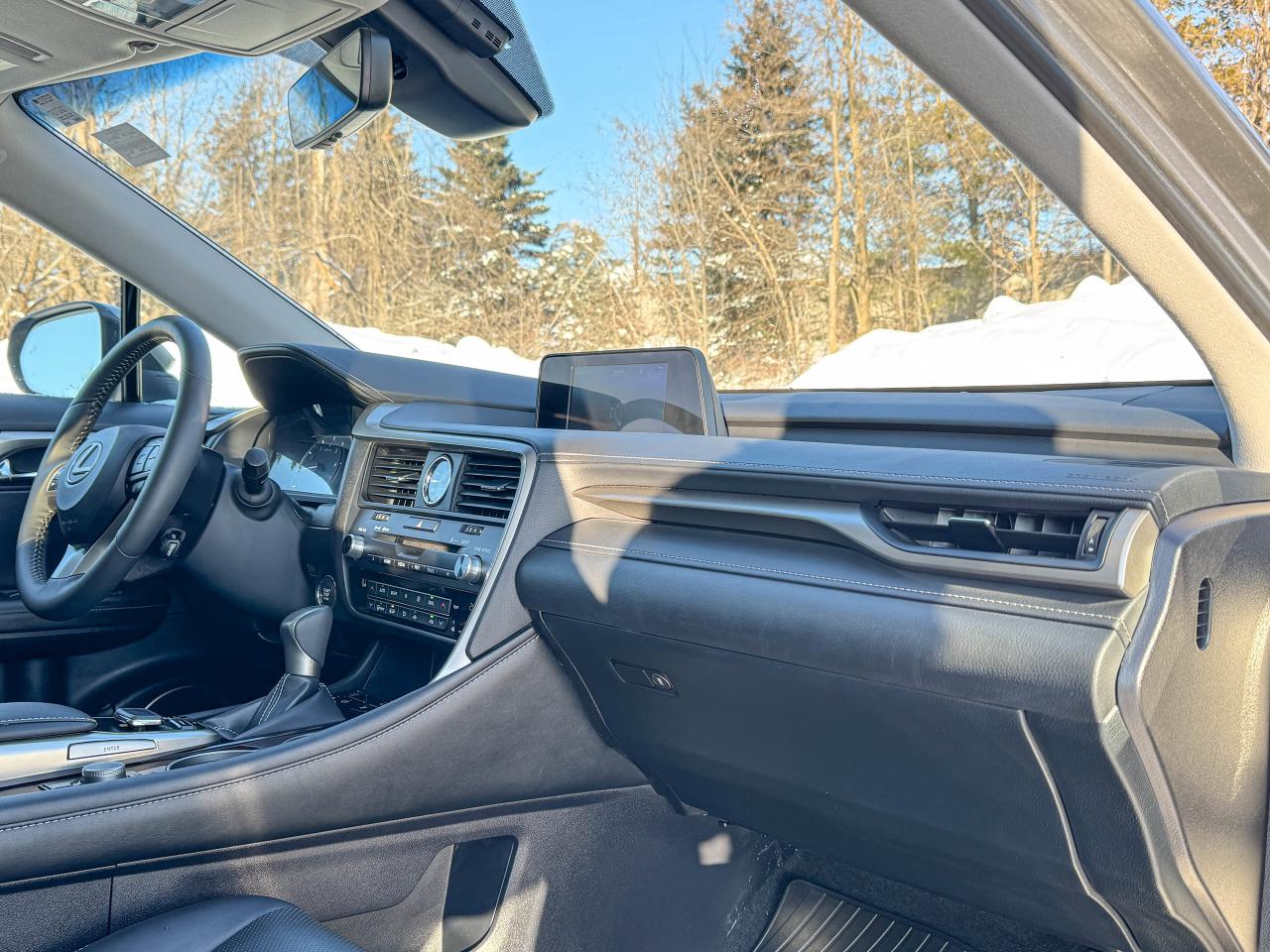 2019 Lexus RX 350 Photo