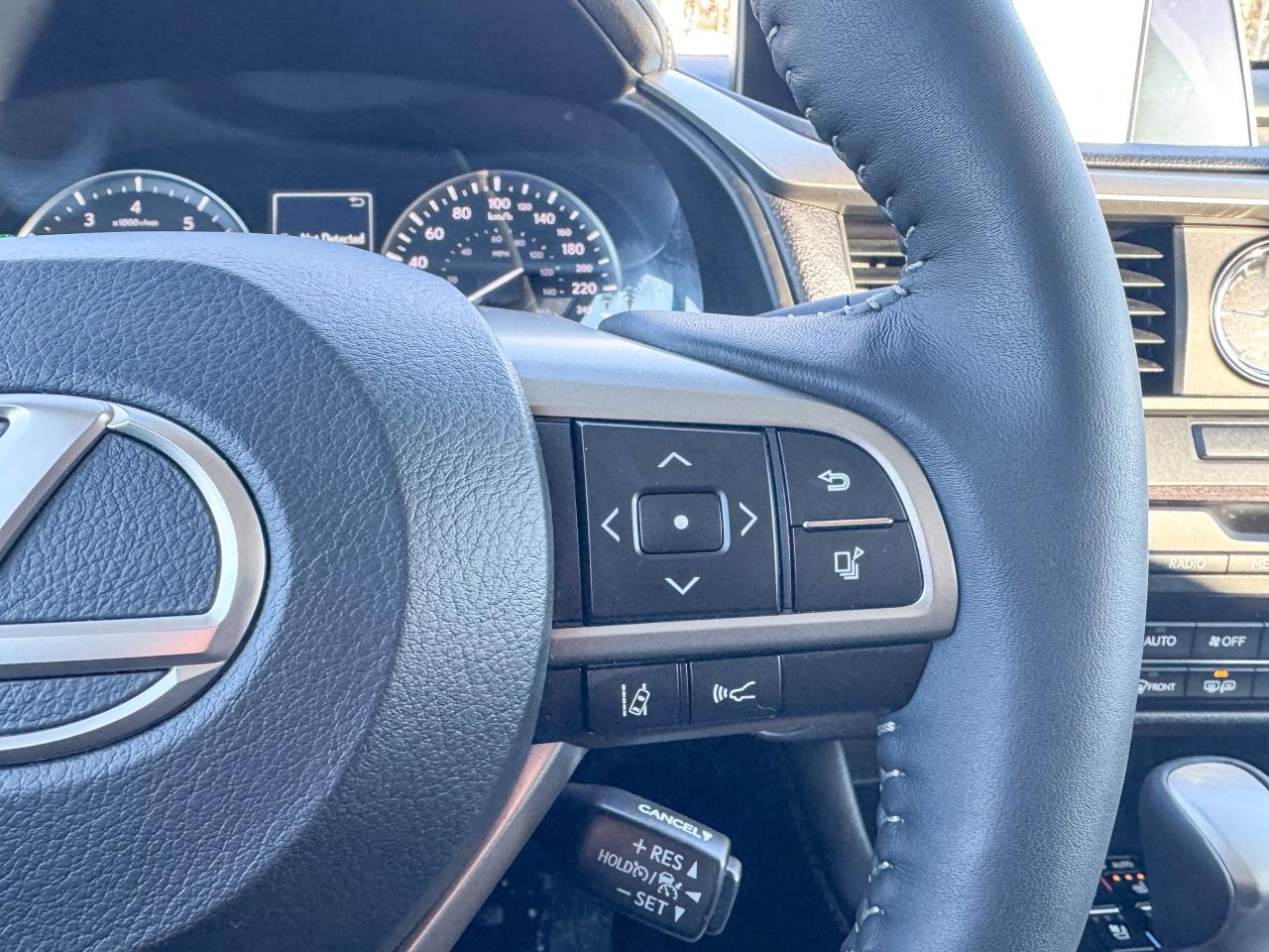 2019 Lexus RX 350 Photo