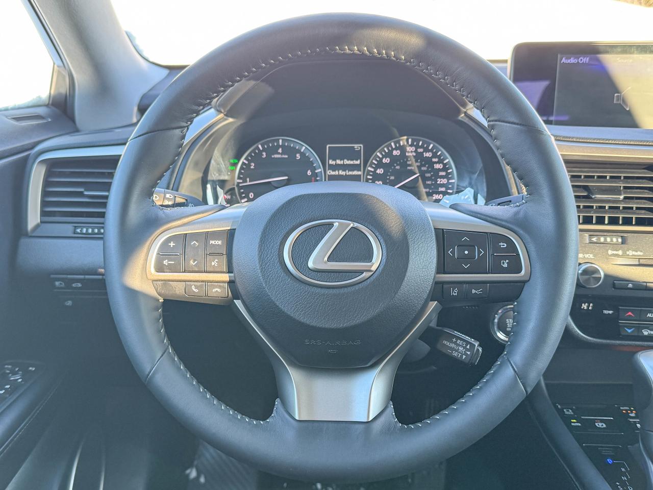 2019 Lexus RX 350 Photo