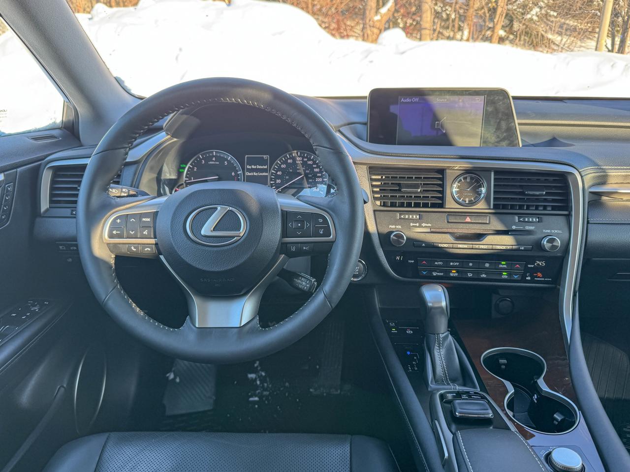 2019 Lexus RX 350 Photo