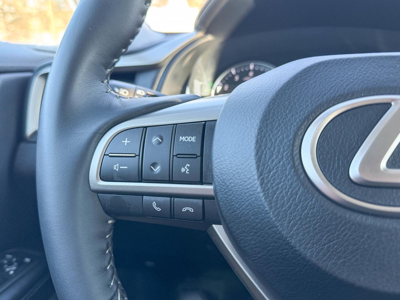 2019 Lexus RX 350 Photo