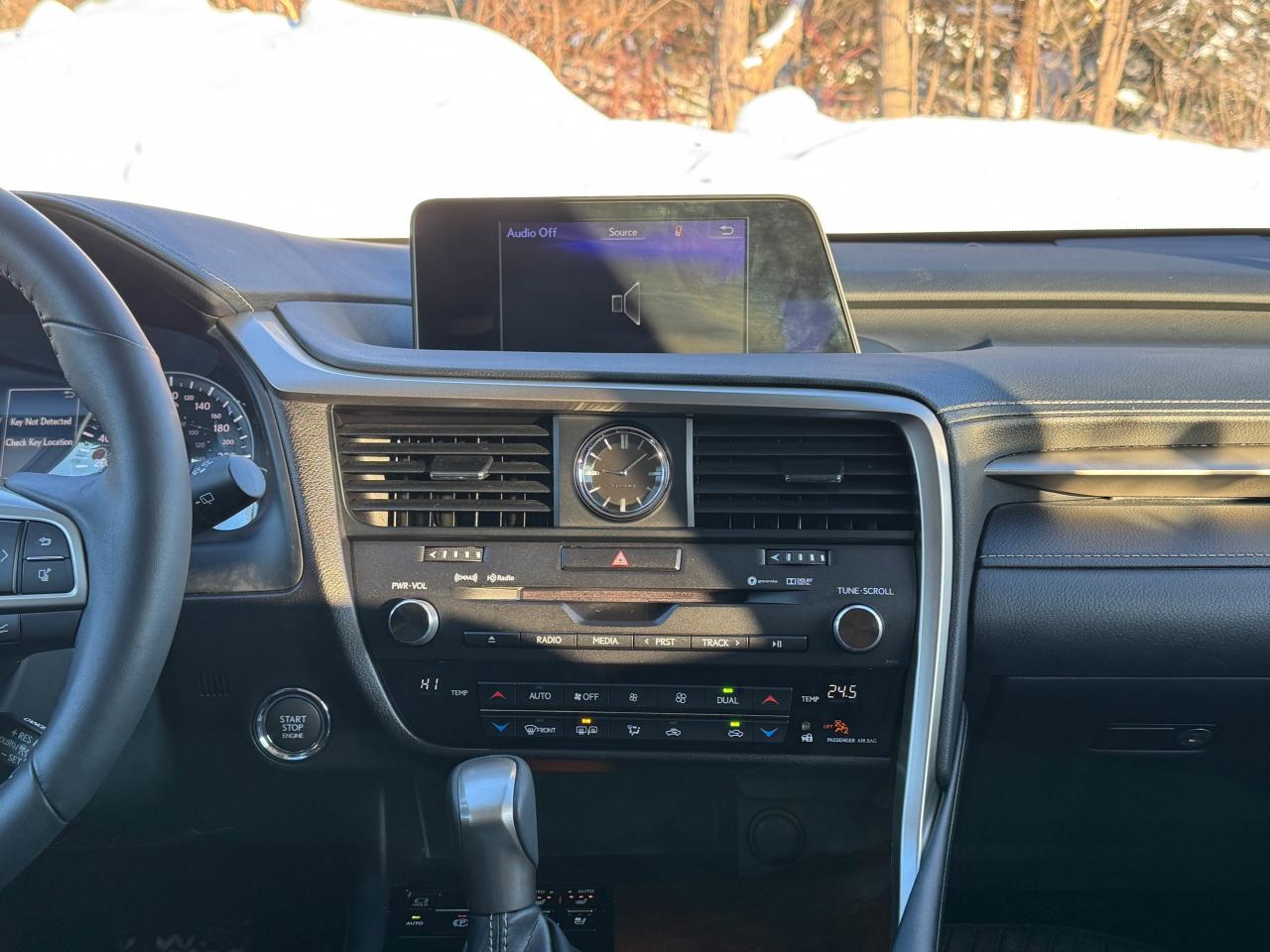 2019 Lexus RX 350 Photo