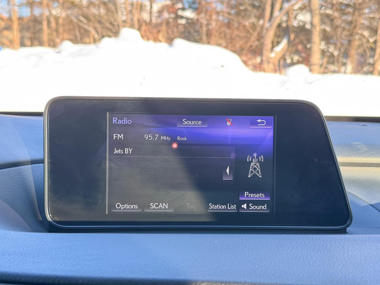 2019 Lexus RX 350 Photo