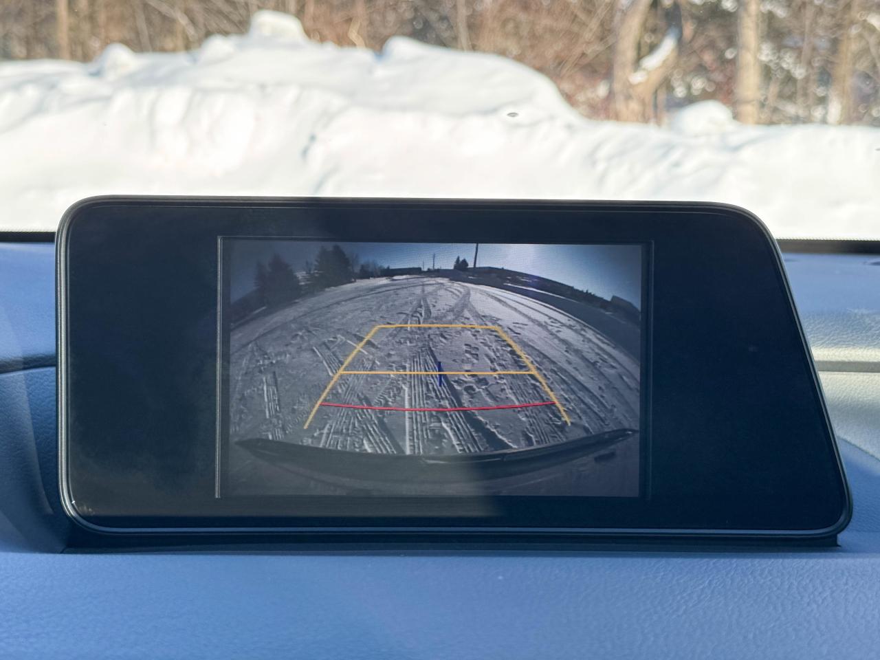 2019 Lexus RX 350 Photo