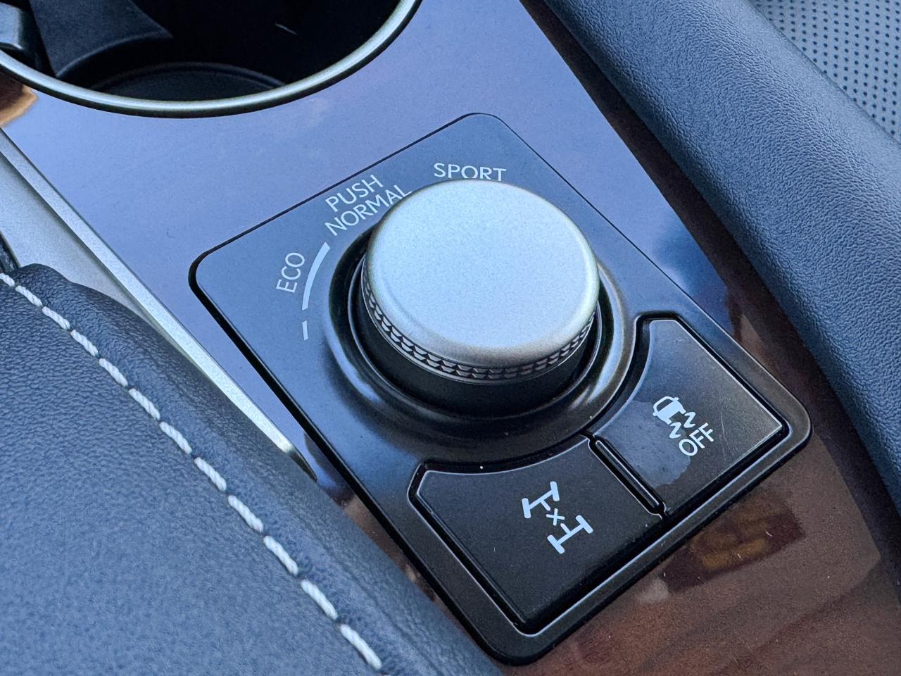 2019 Lexus RX 350 Photo