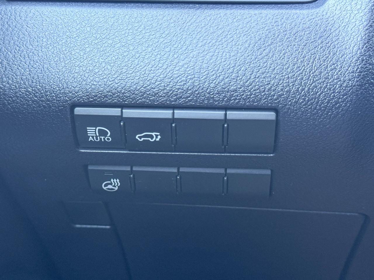 2019 Lexus RX 350 Photo